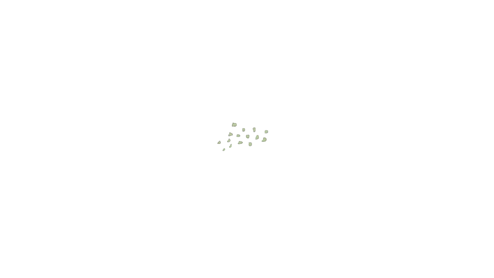 Green onion